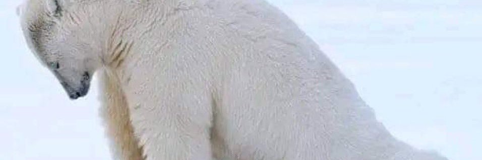 TheBlueBoohbah's profile banner image