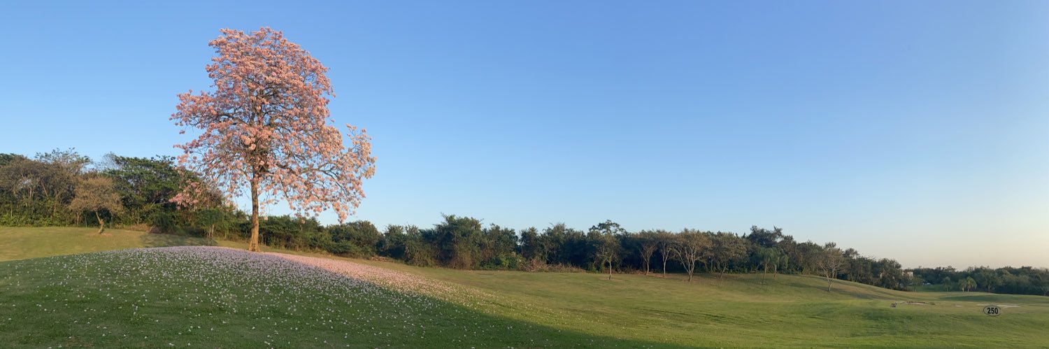 EmanuelAmbrocio's profile banner image