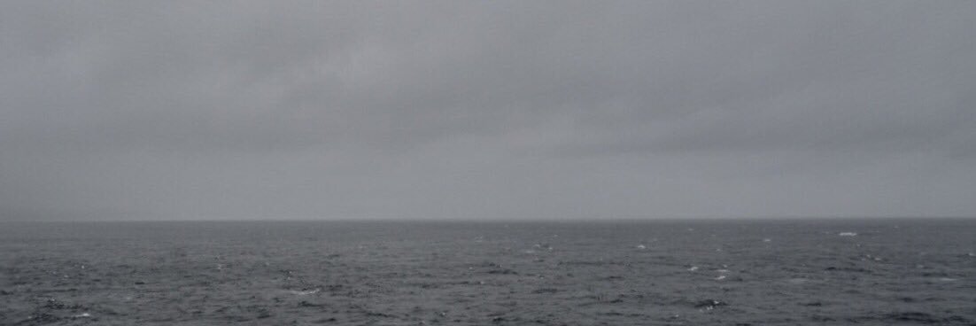 necoamesorena's profile banner image