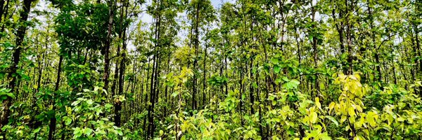 soumya4evr Profile Banner