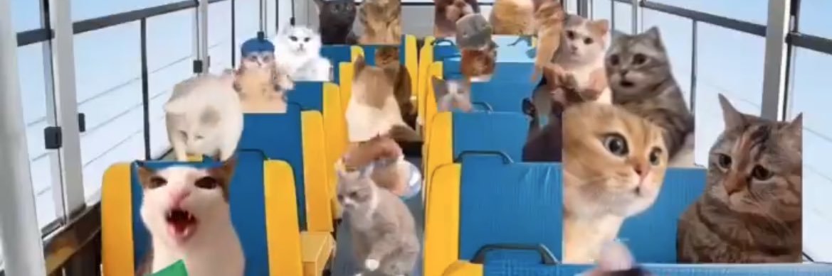 Bantalangubis banner