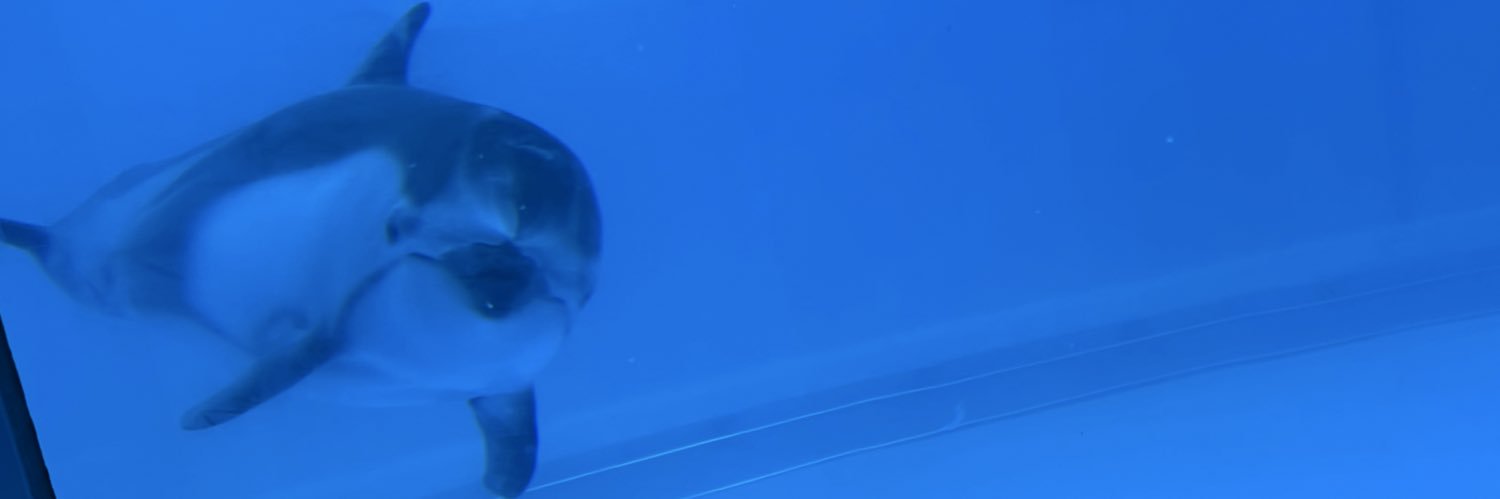 b_fto_a's profile banner image