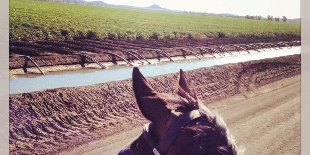 KDuver's profile banner image