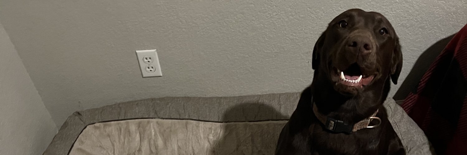 lilhutr's profile banner image
