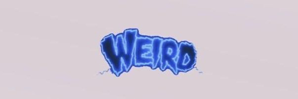 winterlydallas's profile banner image