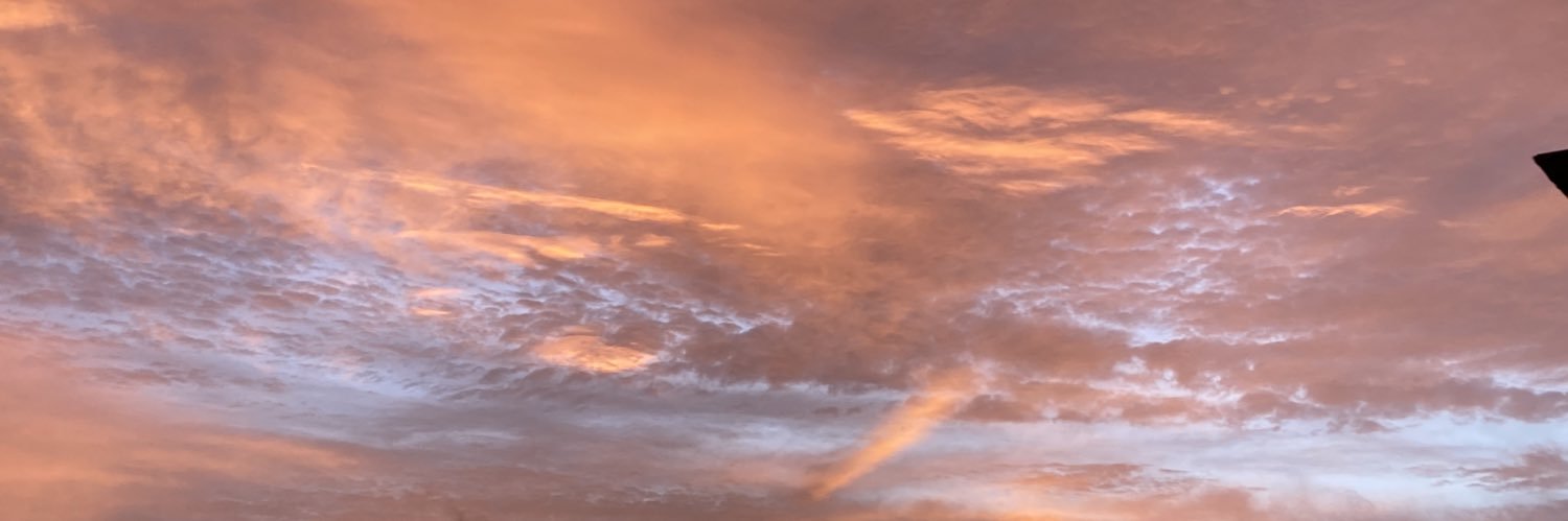 Suziblocks's profile banner image
