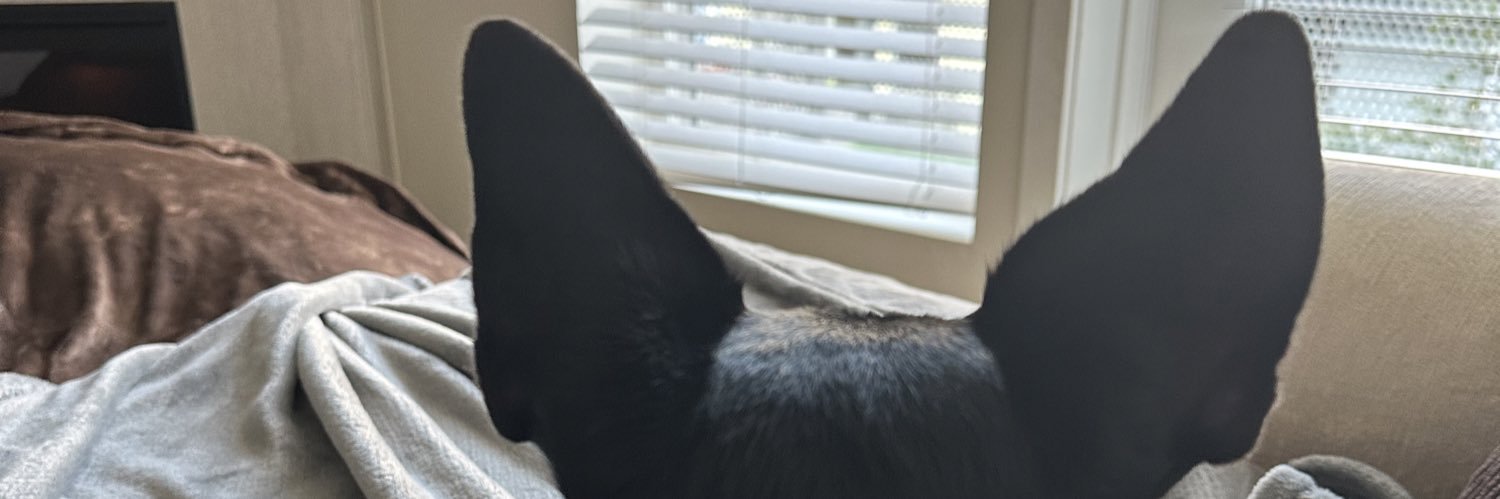 JadeBismark's profile banner image