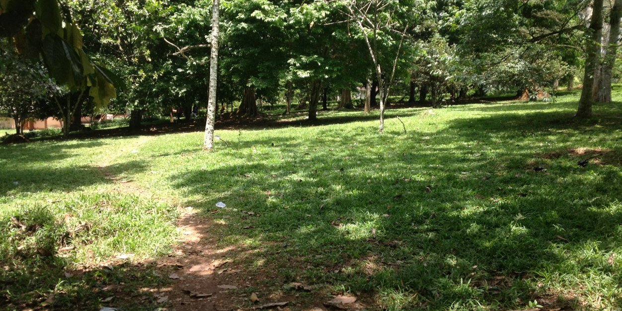 BibiMensah's profile banner image