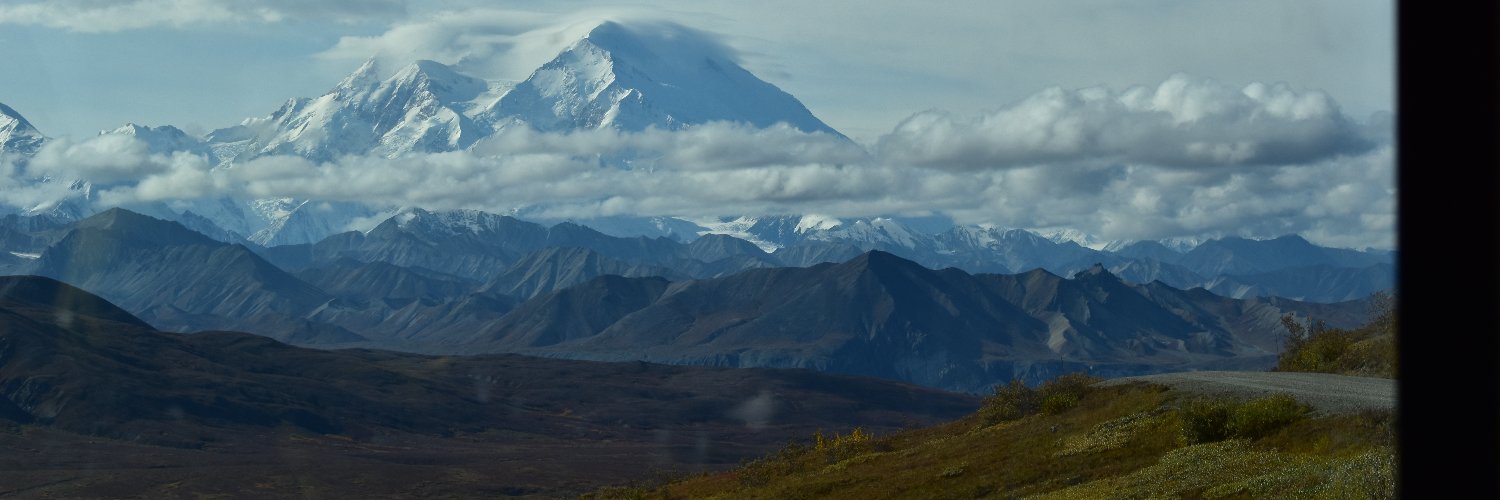 MrsCollinsNL's profile banner image