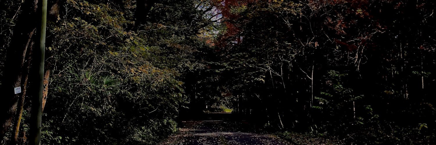 ICogu's profile banner image