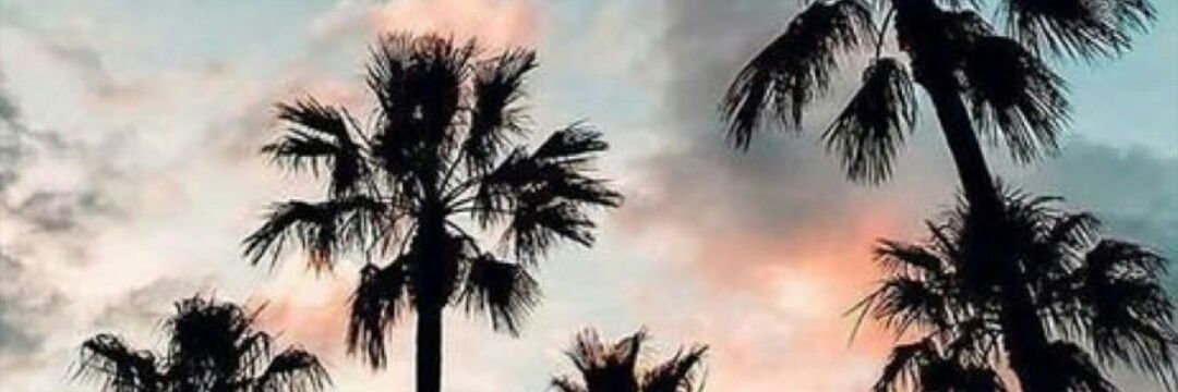 bloodyHO's profile banner image