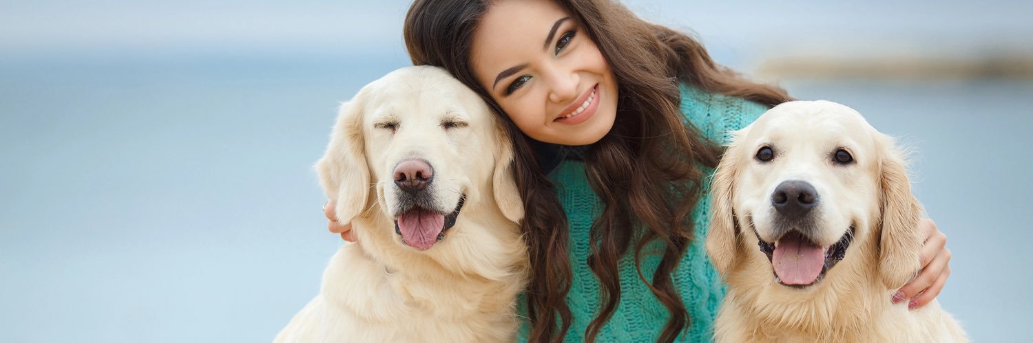 petlove_s's profile banner image