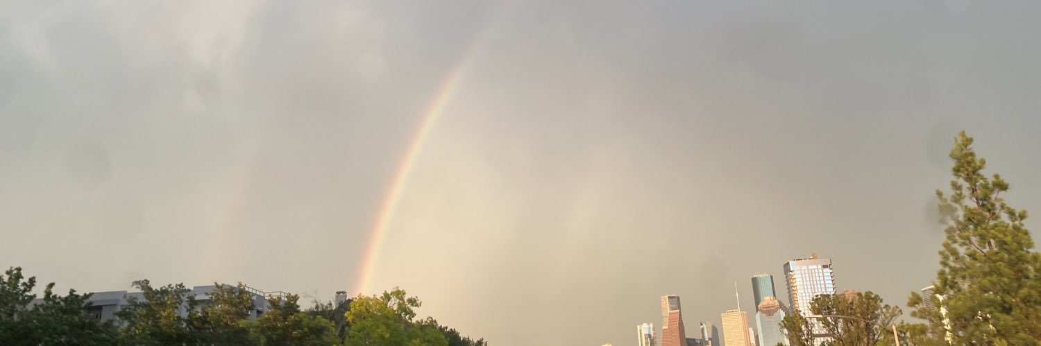 courtschmidt42's profile banner image