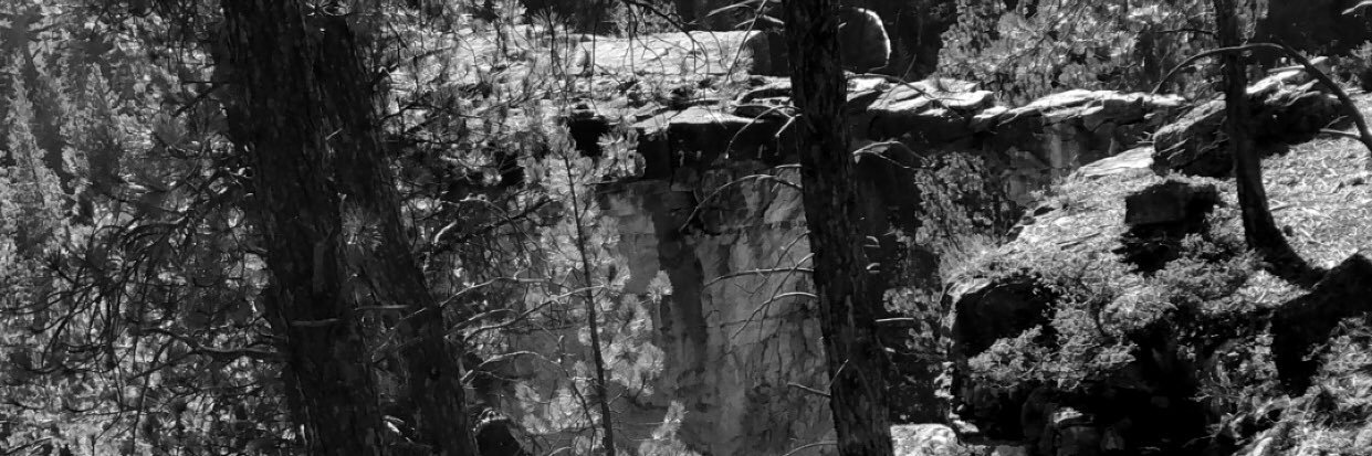 VanDriel_10's profile banner image
