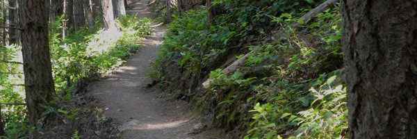 mrs_seilerHWDSB Profile Banner