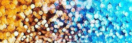 Michelle Smith banner