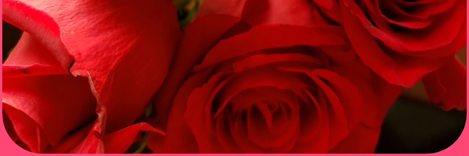 VICKIE BERKOWITZ banner