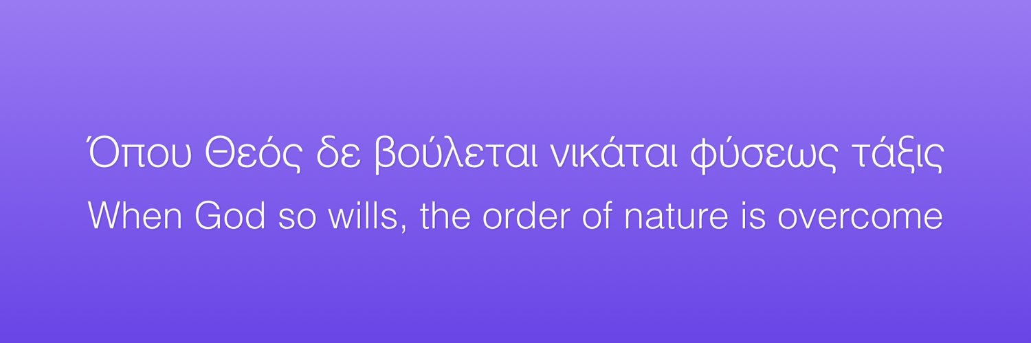 nimetaxa's profile banner image