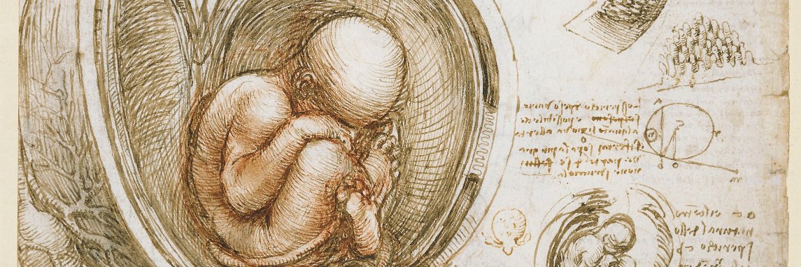 Dr Alexandra Harvey banner