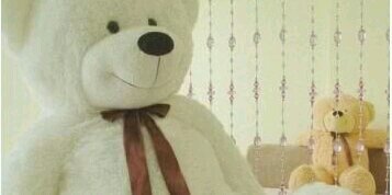 Ayi Fakhrotun Nisa banner