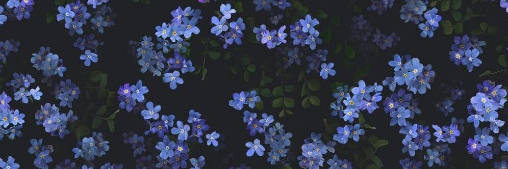 WhoaGxD's profile banner image