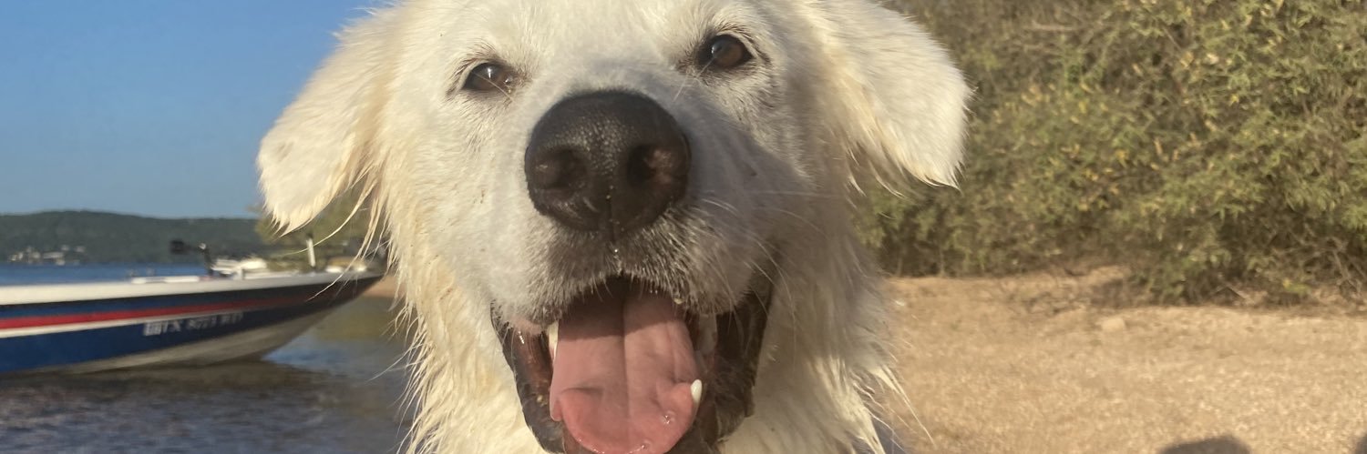 paightoncorley's profile banner image