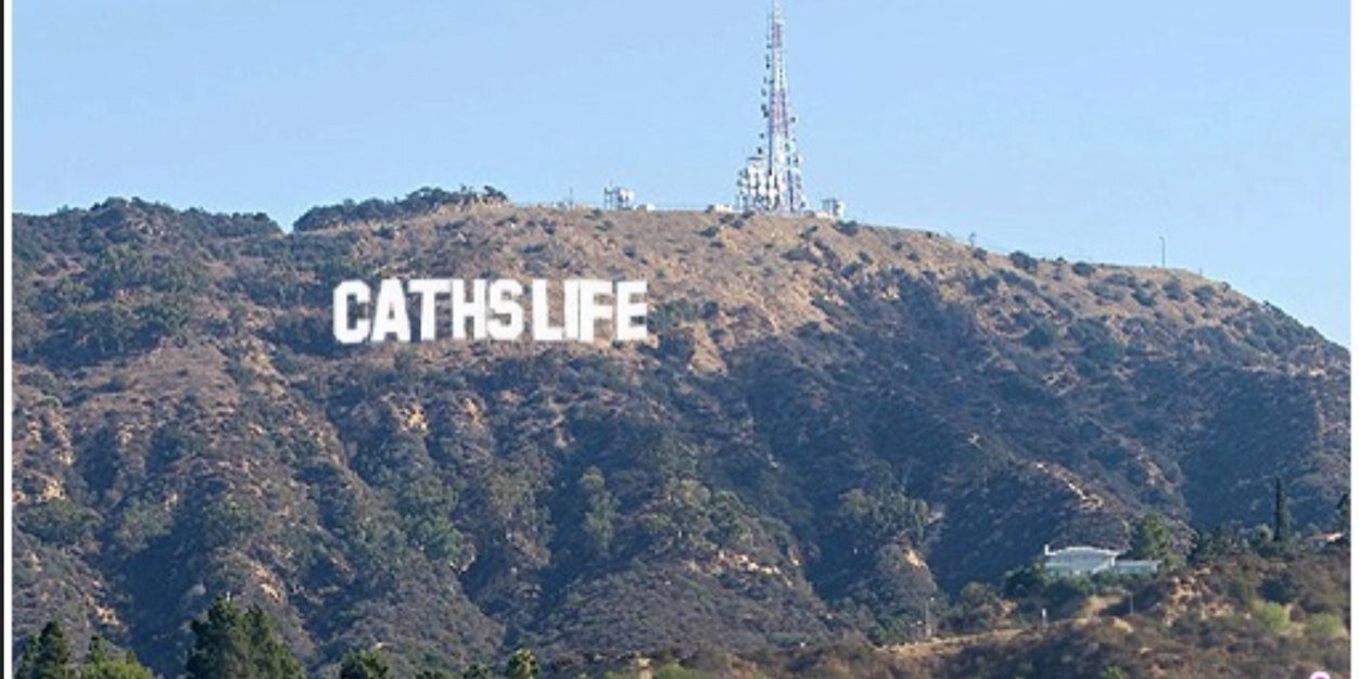 cathy anello banner