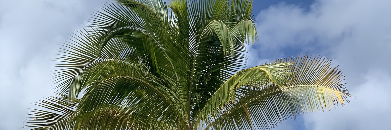 quetteles75's profile banner image