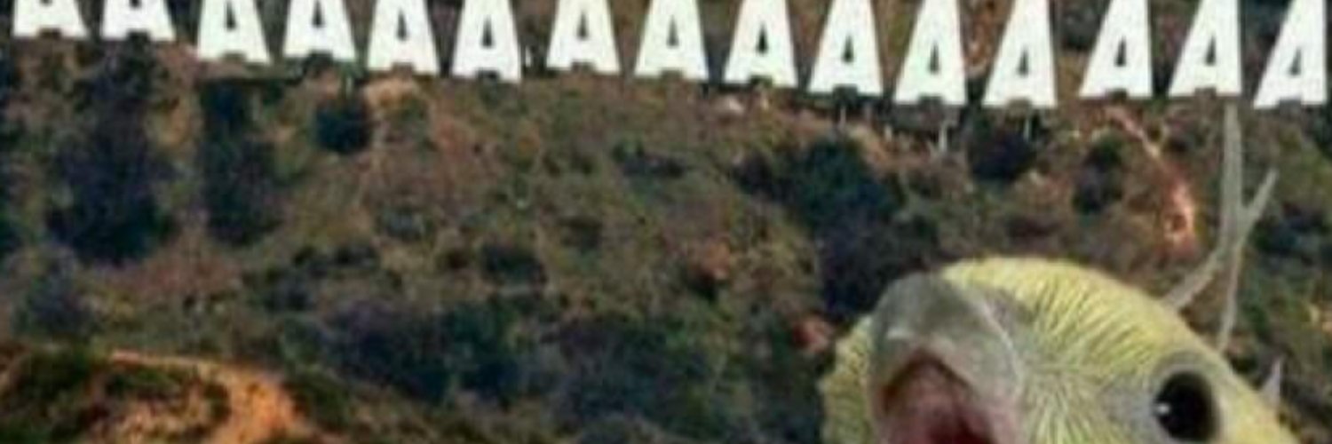 marcydevanea's profile banner image