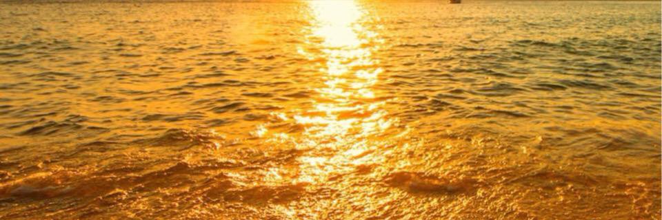 mreyno504's profile banner image