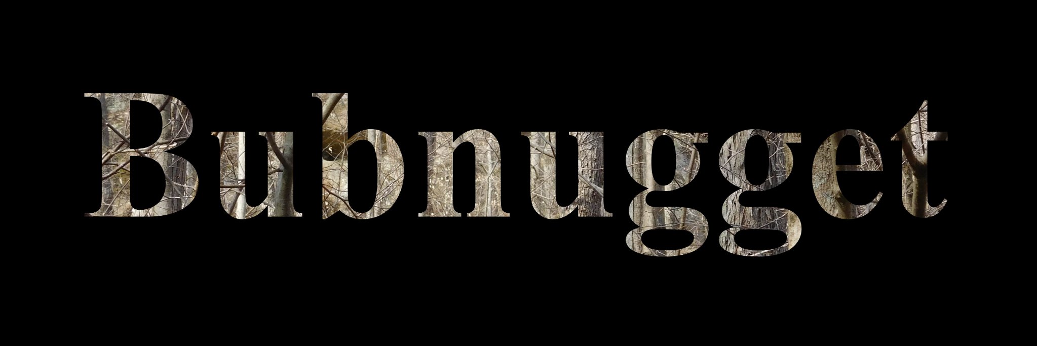 Bubnugget's profile banner image