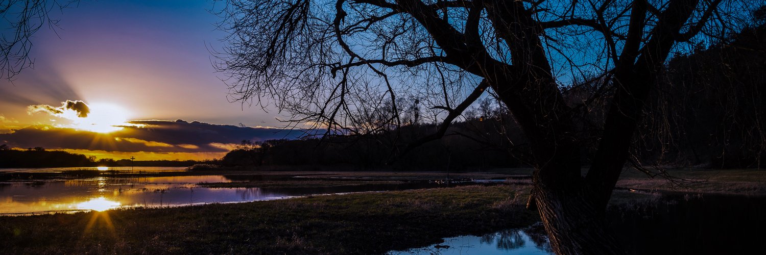 Rivky Rinaldy banner