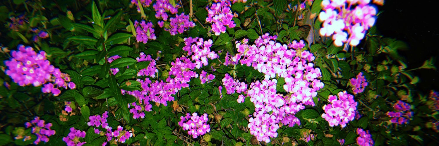 Kim_haemi_'s profile banner image