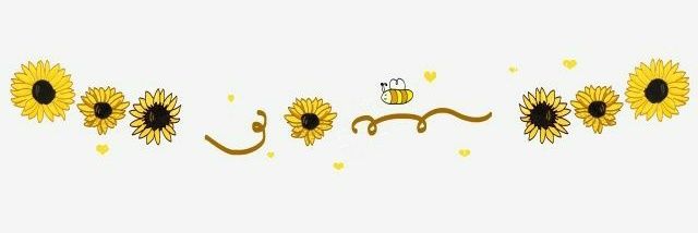 _ceciliaum's profile banner image