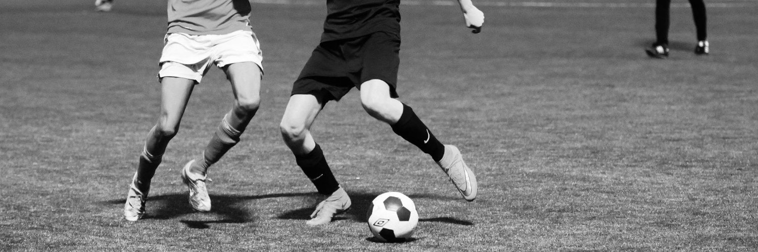 Frank Sande Feedt banner