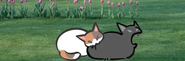 Virgo's groove banner