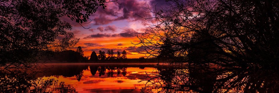 MuddyMooseMedia's profile banner image