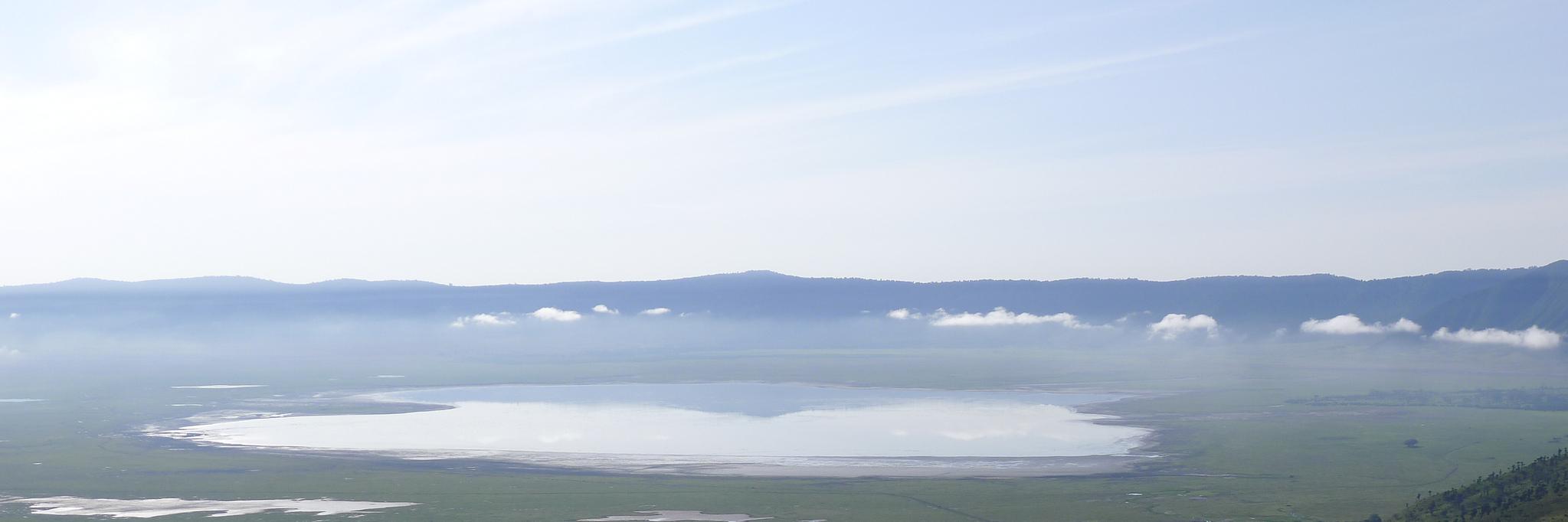 Chris Mitchell banner