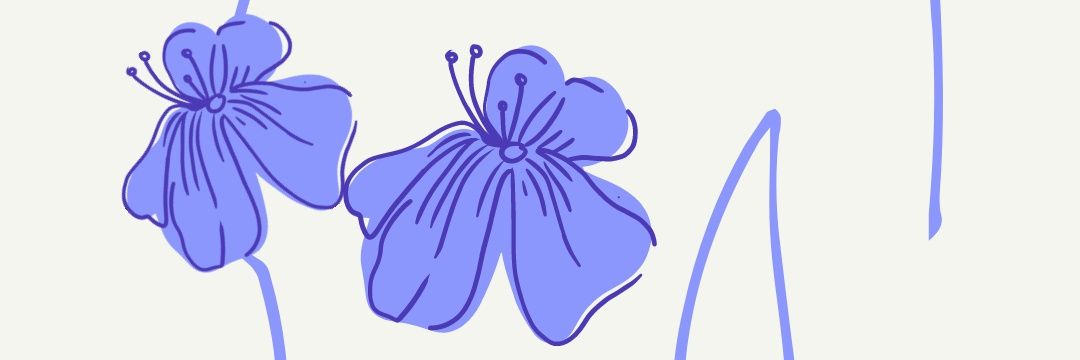 pichirodz's profile banner image