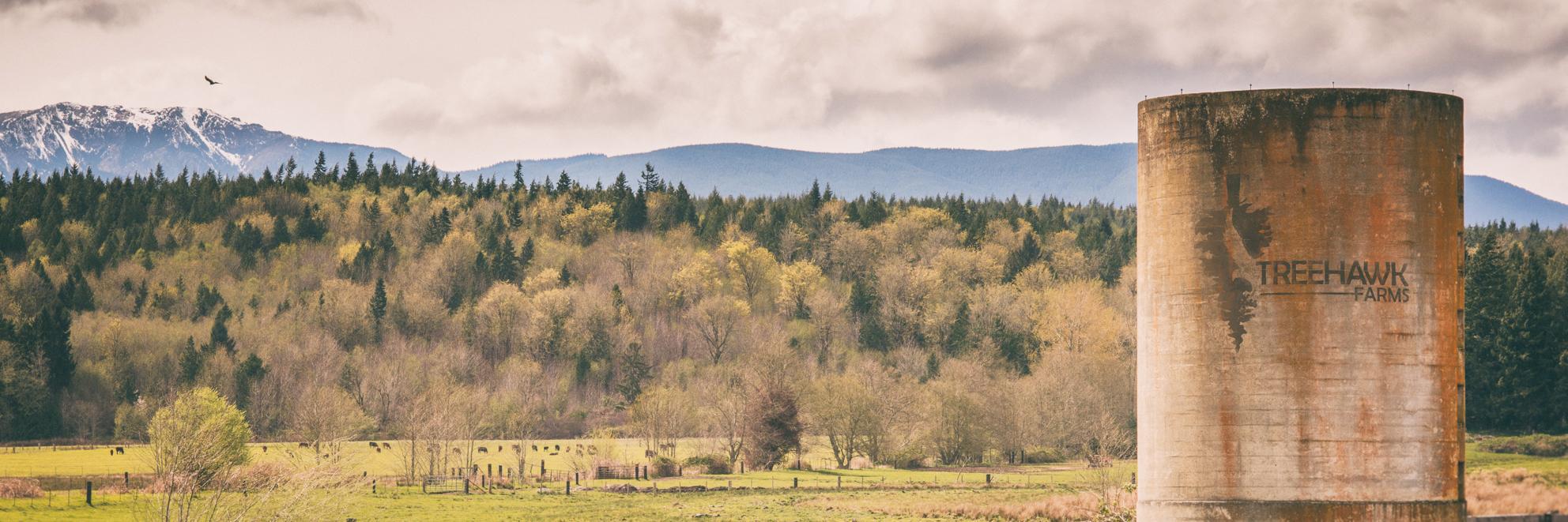 TreeHawkFarms's profile banner image
