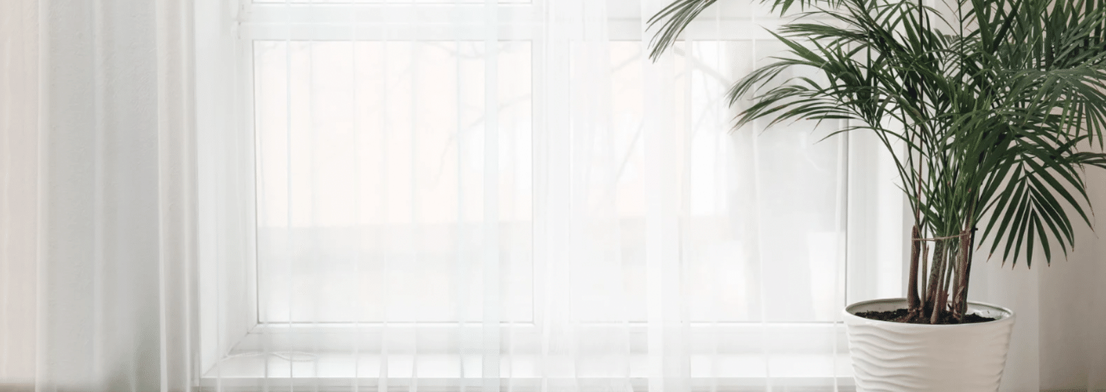nonameforse's profile banner image
