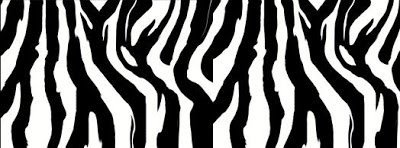 teniaudini's profile banner image