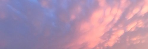 besterikaever's profile banner image