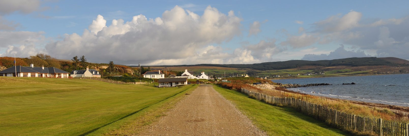 Andrea Baertl banner