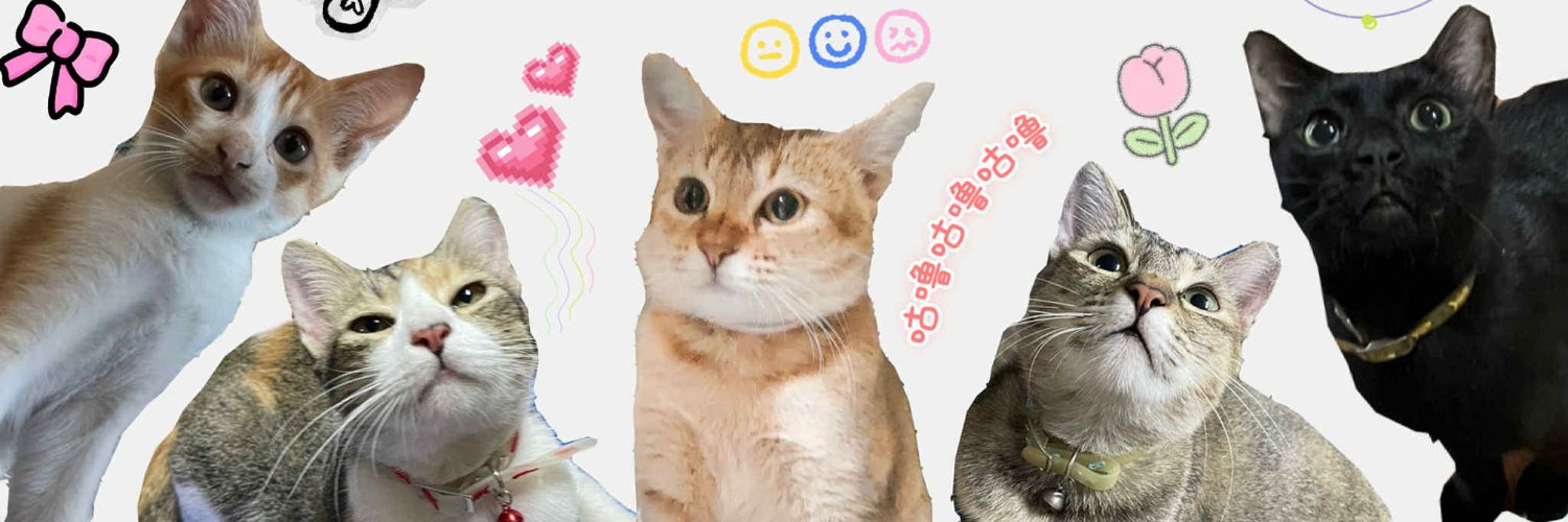 _franzdesiderio's profile banner image