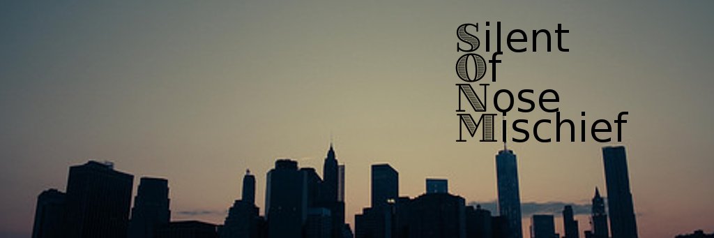 sonm_info's profile banner image