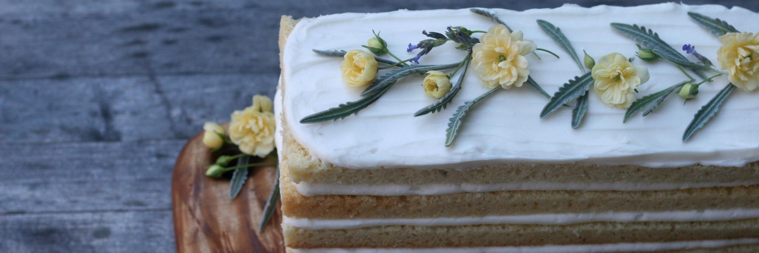 cakebloom's profile banner image