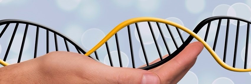 Autoimmunsygdom's profile banner image