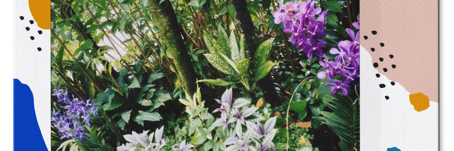 EuniceeWoo's profile banner image