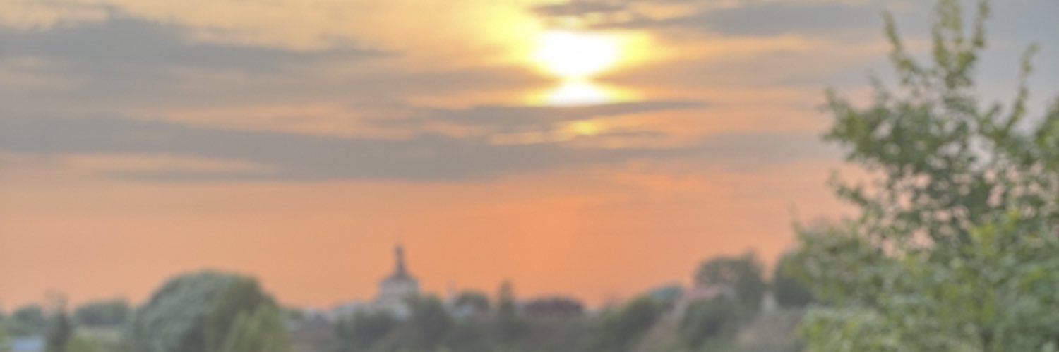 sokALENKA's profile banner image